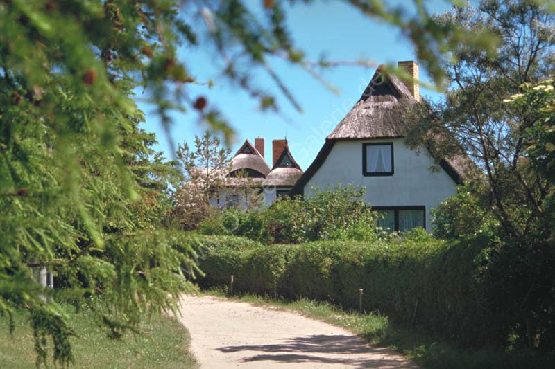 Ahrenshoop_Haeuser_mit_Reetdach