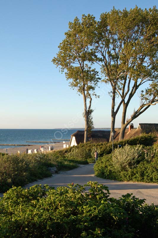 Ahrenshoop_Haus_am_Grenzweg_Abend_2