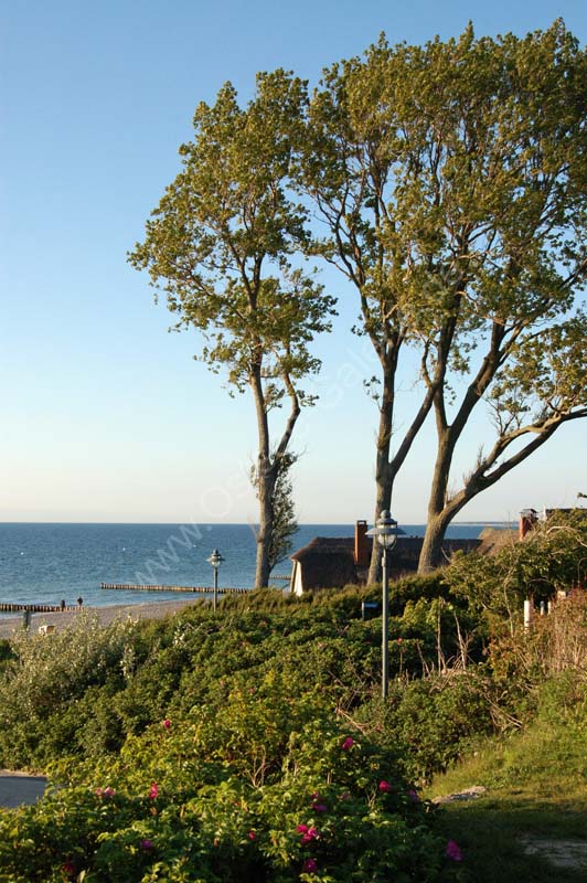 Ahrenshoop_Haus_am_Grenzweg_Abend_3