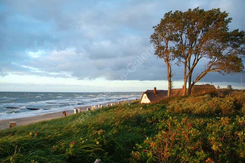 Ahrenshoop_Haus_am_Grenzweg_Abend_4