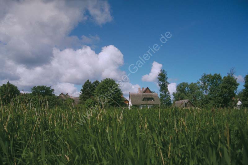 Althagen_Haus_Schilf_Himmel