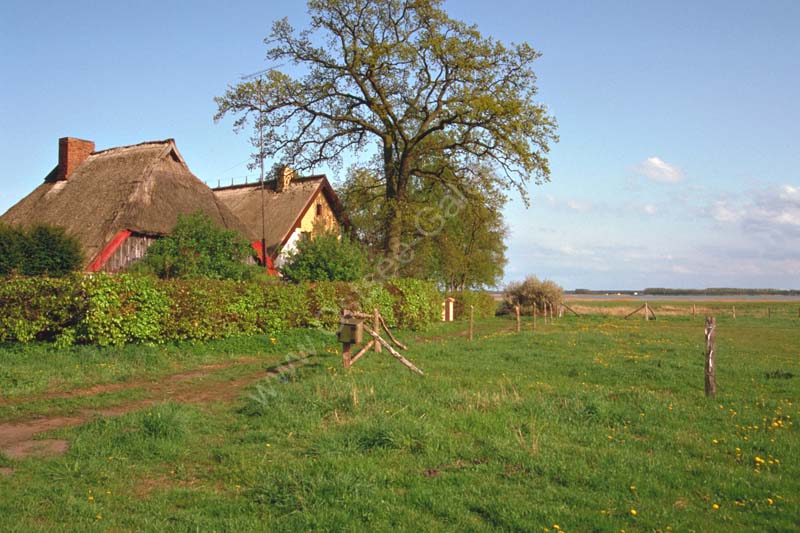 Born_Chausseestrasse_am_Bodden