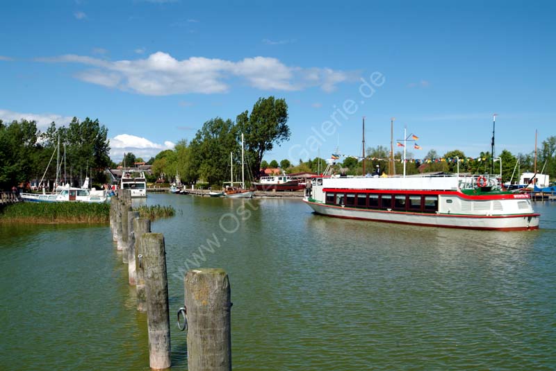 Wustrow_Hafen_08