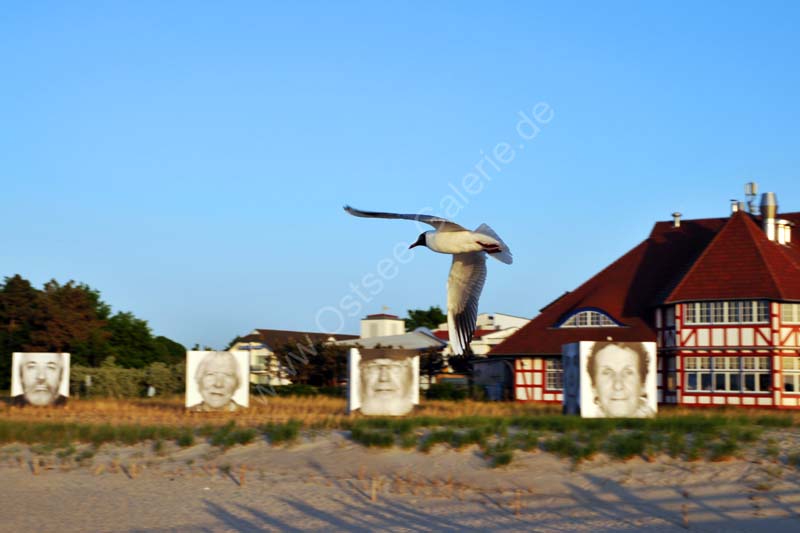 Zingst_Kurhaus_Moewe_Gesichter