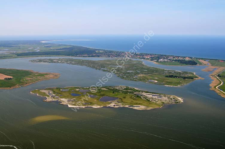 LB_Insel_Oie_Kirr_Zingst_2919